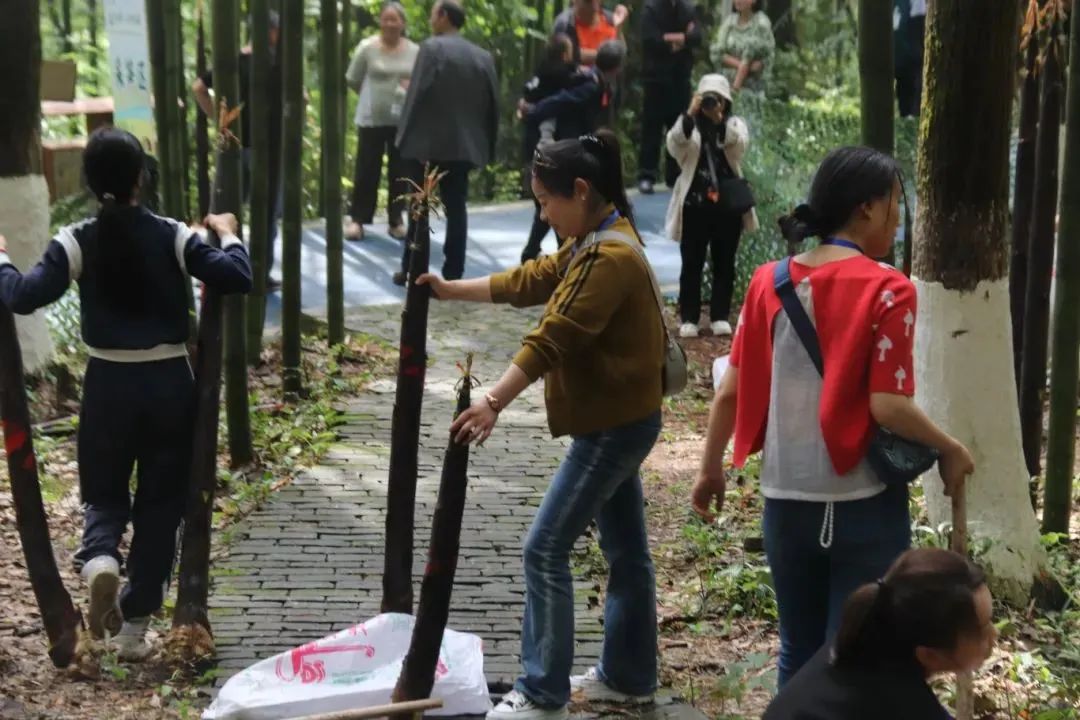 微信图片_20250429162346.jpg