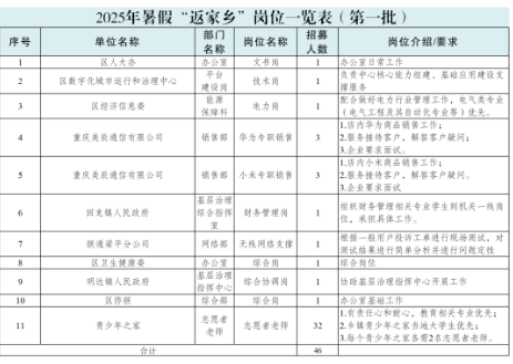 2025年暑假返家乡岗位统计表.png