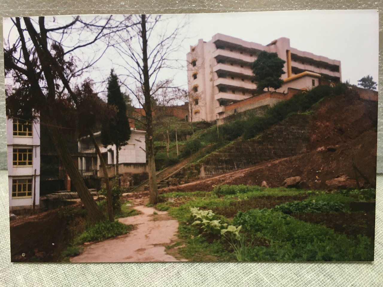 梁平万事通 梁平人离不开的网络家园 - powered by discuz!